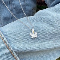 Colgante Libélula con Cadena | La Joya de Plata